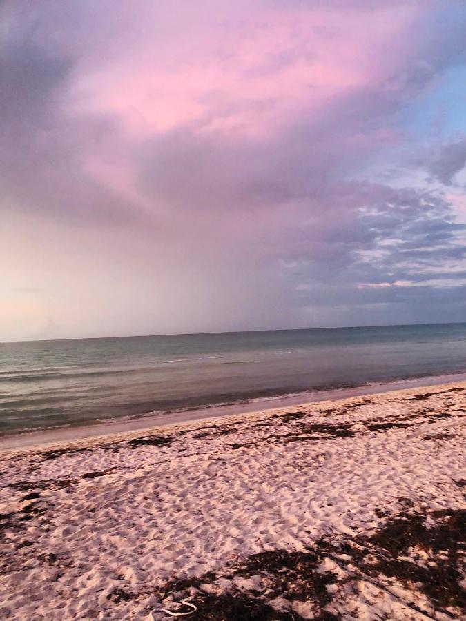 Cabaña Tortuga a Unos Pasos de La Playa Apartamento El Cuyo Exterior foto